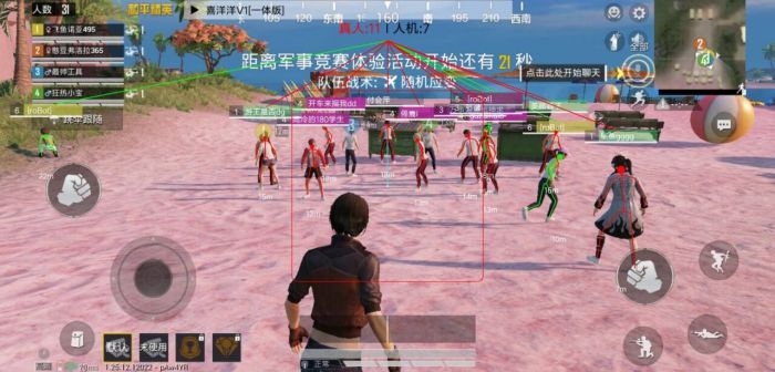 和平精英透视挂永久免费 - 多平台支持防封版本